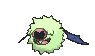 Woobat variocolor