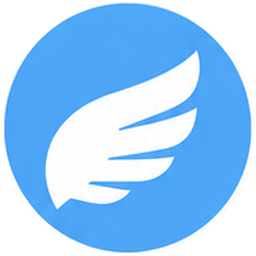 Flying type icon